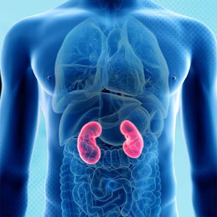 Mineral and Bone Disorders