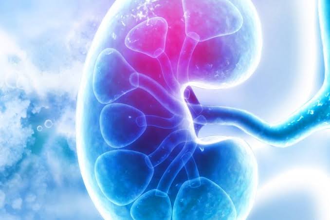 Kidney Transplantation