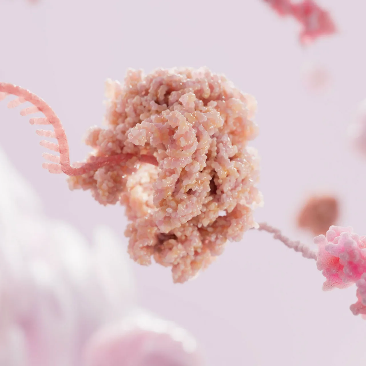 Lung Cancer